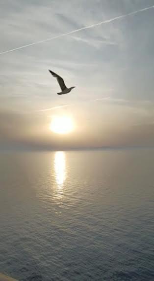 Armareaoverseassuites 1 Fiumicino Esterno foto